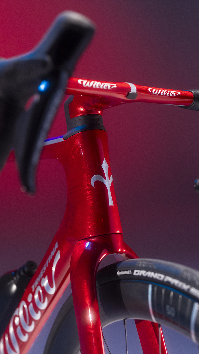 <div><strong><em>Firelight Red</em></strong></div>