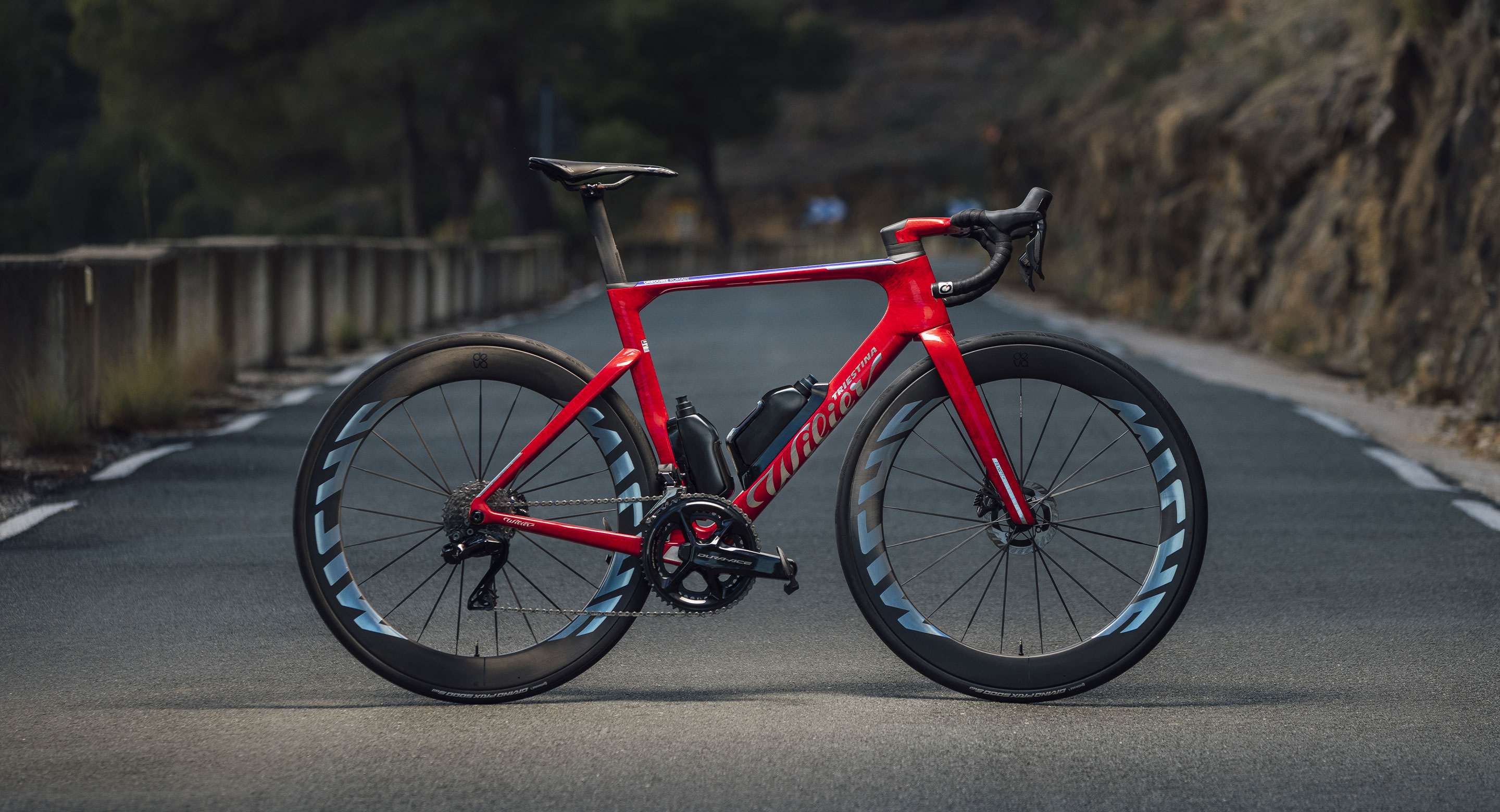 <div><strong><em>Firelight Red</em></strong></div>