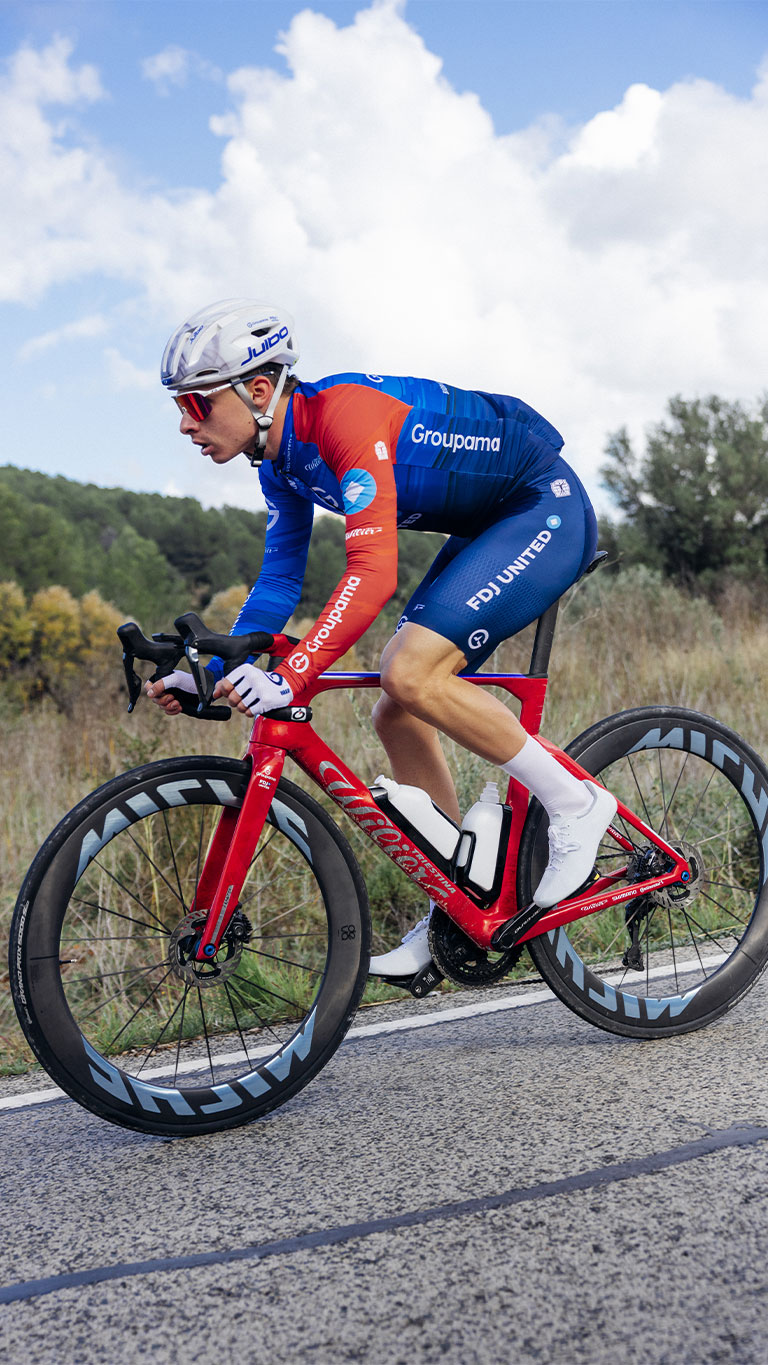 <div><strong><em>Firelight Red</em></strong></div>