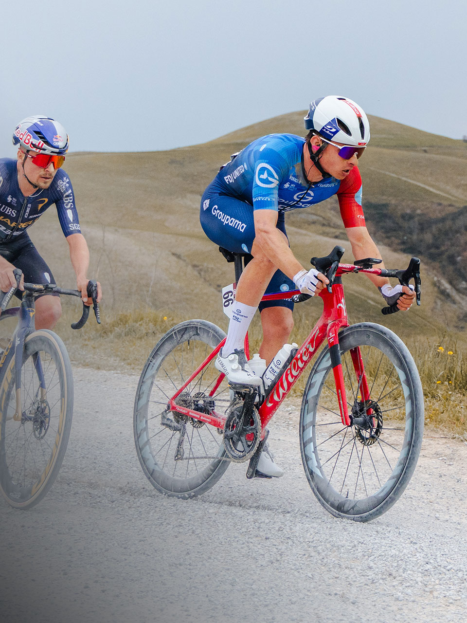 <div><strong><em>Firelight Red</em></strong></div>